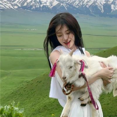 纽约的女人们